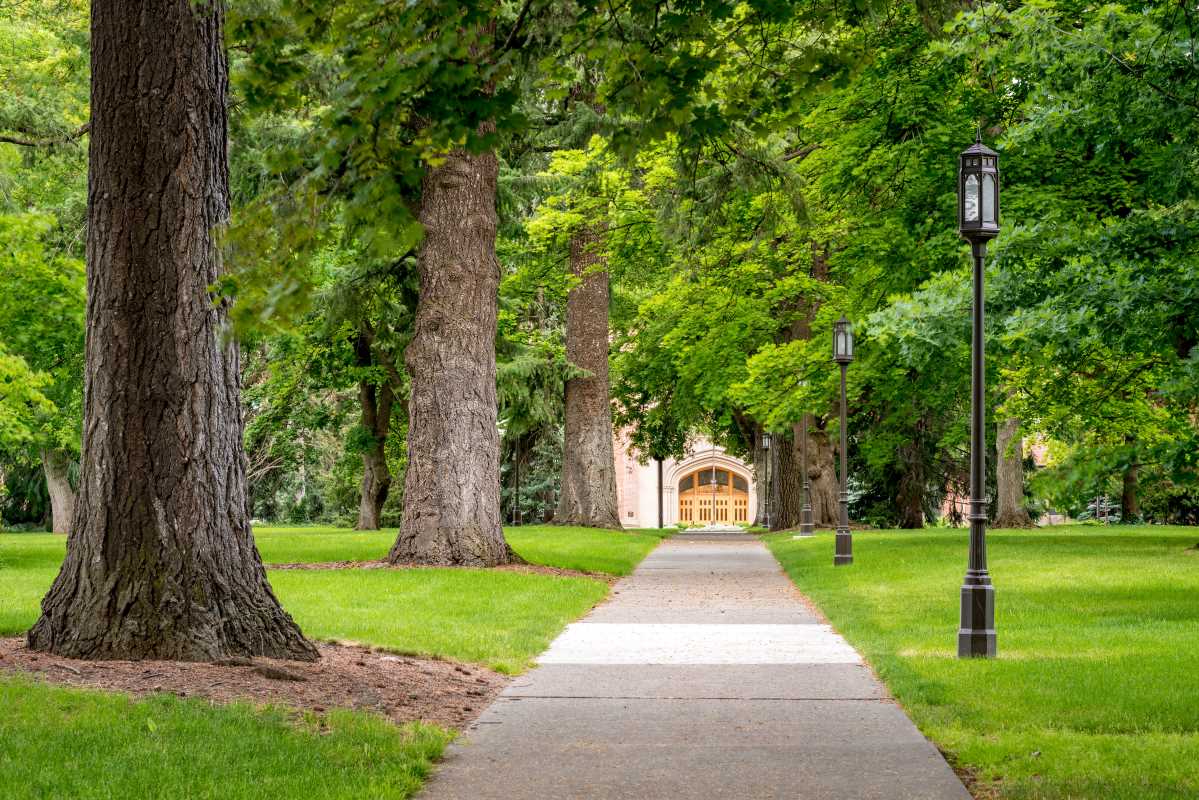 How College Fairs can Shape Your Educational Journey. 